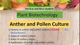 Anther and Pollen Culture in hindi  Bsc and Msc biotech  Agricultural Biotechnology pharma [upl. by Afesoj]