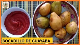 DULCE Y BOCADILLO DE GUAYABA CON MENOS AZUCAR [upl. by Anitsyrk277]