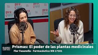 PRISMAS 6  FITOTERAPIA CON FLOR FASANELLA [upl. by Rahcir366]