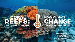 GEO  44 Coral Reefs Essential to Ocean Ecosystems and How Climate Change Threatens Them [upl. by Breban]