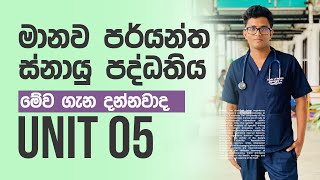 මානව පර්යන්ත ස්නායු පද්ධතිය  Peripheral nervous system  snayu paddathiya Unit 05  AL Bio [upl. by Baiss]