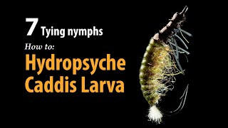 How to • Fly tying • Hydropsyche Caddis Larva • fishing tips [upl. by Neibart]