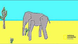 most realistic elephant programmed ever [upl. by Johm]