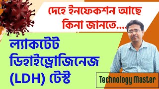 Lactate Dehydrogenase LDH Test  ল্যাকটেট ডিহাইড্রোজিনেজ টেস্ট [upl. by Trever]