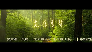 有声书 凤梓 逆天神医妃 鬼王缠上瘾 【 第0127集 至 第0170集 】 [upl. by Natanhoj352]