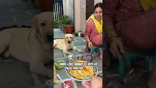 Simba bhi Khayega Aloo Paratha😍❤️ vlog doglover pets minivlog ytshorts dogshorts [upl. by Flight345]