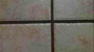 Cleaning Tip How to Clean Tile Grout  Easy best way  no harsh chemicals [upl. by Aliled]