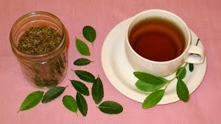 How to Make Tea from Scratch Harvest Leaves Roast and Brew Tea at Home [upl. by Nej]