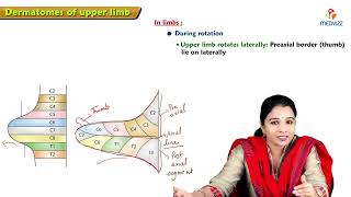 17 Dermatomes of Upper Limb Anatomy  MBBS Lecture [upl. by Melania286]