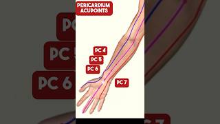 The Pericardium Meridian Acupuncture Points acupuncture [upl. by Merwyn]