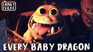 Every Scene With A Baby Dragon In It  How To Train Your Dragon 3 2019  Family Flicks [upl. by Campbell946]