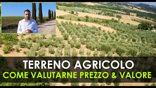 Come valutare il Prezzo di un Terreno Agricolo  Gli aspetti Ambientali più importanti [upl. by Francesca]