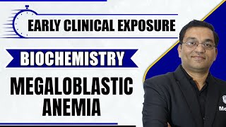 Megaloblastic Anemia  Early Clinical Exposure  Biochemistry  MBBS  Dr Rajesh [upl. by Delainey33]