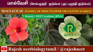 Malvaceae  Newly Added Plant families Rajesh NEET Academy RNA rajeshneet RNBT [upl. by Eintihw946]