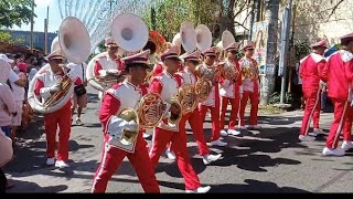 Parada ng Mosiko 2024 Santa Maria Town Fiesta Bulacan  Mosiko Parade Festival [upl. by Irisa]