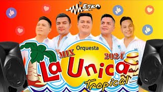 Mix La Unica Tropical  2024   Partidos en Dos  Si Esta Casa Hablara  Asesina y mas   Dj Esko [upl. by Jase]