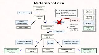 Hemostasis Lesson 5  Antiplatelet Meds Part 1 of 2 [upl. by Barnie]