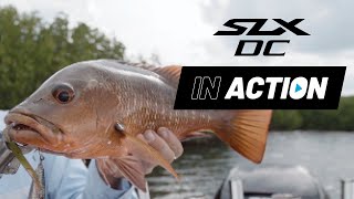 IN ACTION SLX Baitcast Reel [upl. by Dirk]