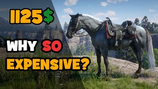 Why New Horses are so expensive in Red Dead Online New Missouri Fox Trotter Tested [upl. by Close]