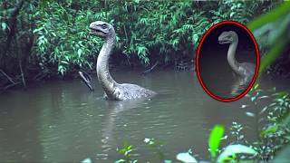 30 Animals Believed To Be Extinct Caught Alive On Camera [upl. by Tesler180]