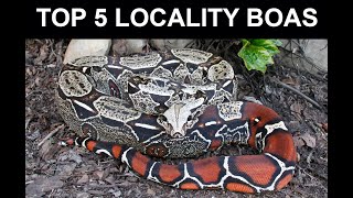 Top 5 Locality Boas [upl. by Yelyab802]