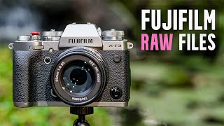 Understanding Different Fujifilm RAW Files [upl. by Rieger413]