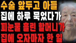 “요양원 보내자” 수술 받기도 전에 아들 집에서 아들과 며느리의 대화를 들은 할머니가 집에 도착하자마자 한 일  사는 이야기  노년의 지혜  오디오북 [upl. by Akinnej]