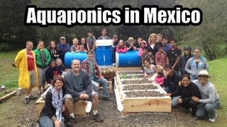 Aquaponics Build Mexico [upl. by Ciccia977]