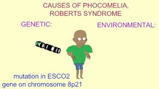 GENETIC amp ENVIRONMENTAL CAUSES OF PHOCOMELIA [upl. by Hoisch]