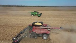 John Deere x9 1100 Vs Case Ih 9250 Combine Cutting Soybeans Season 4 Episode 34 [upl. by Macgregor]