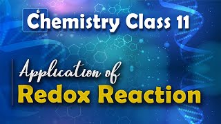 Application of Redox Reaction  Redox Reaction  Chemistry Class 11 [upl. by Annahsal]