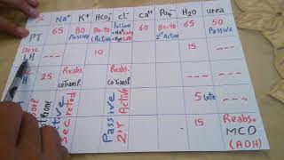 Renal Electrolytes in one Table Dr Mohamed Fayez [upl. by Beka]