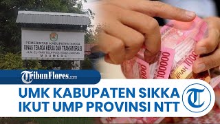 Upah Minimum di Kabupaten Sikka 2023 Ikut UMP Provinsi NTT [upl. by Hannus389]