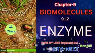 Enzyme biomoleculesncertbiologyclass11 [upl. by Hayott647]