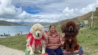 Tibet tour part 1 [upl. by Kcirneh926]