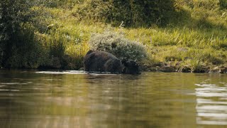 Visit Venlo Op de Maas [upl. by Keg]