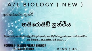 Thyroid Gland AL biology Sinhala [upl. by Nylirret]