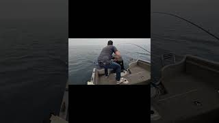 Young Fellas First King Salmon shorts lakehuron goderich fishing outdoors fish [upl. by Arbuckle]