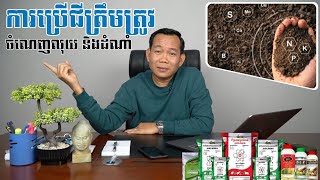 របៀបប្រើជីឲ្យបានត្រឹមត្រូវ តាមតម្រូវការរុក្ខជាតិ​ ចំណេញទាំងលុយ និងដំណាំ [upl. by Afatsuom]