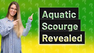 Why is the aquatic scourge invincible [upl. by Ferguson]