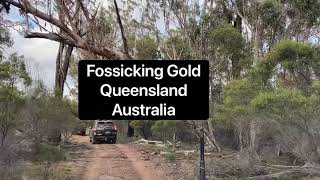 Beginner Fossicking Gold Queensland Australia 🇦🇺 [upl. by Aseret]