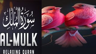 Surah Al Mulk سورة الملك  Marvelous Quran will MELT Your HEART [upl. by Icyaj]