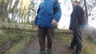 Calvert Trust Kielder  Buggy ride Lakeside Way shut by trees [upl. by Xino]