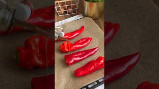 Poivrons grillés food veganfood pita recipe youtube tiktok [upl. by Arlin]