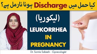 Leukorrhea In Pregnancy Is It Normal  Pregnancy Mein Discharge Ka Hona  Vaginal Discharge [upl. by Yot371]