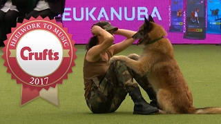 Amazing Dog Performs CPR Squats and Press Ups in Heelwork To Music Routine  Crufts 2017 [upl. by Inah]