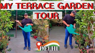 My Terrace Garden Tour Most Requested [upl. by Rehpotsirh]