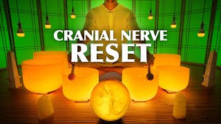 Cranial Nerve Sound Bath  Release amp Reset Your Cranial Nerves  Crystal Singing Bowl Music [upl. by Satterlee]