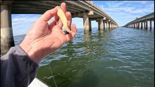 Fishing Under the Causeway Lake Pontchartrain [upl. by Azmuh]