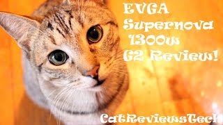 EVGA Supernova 1300w G2 Review [upl. by Eissed970]